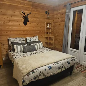 A 100 Metres Du Depart Des Pistes De Appartement